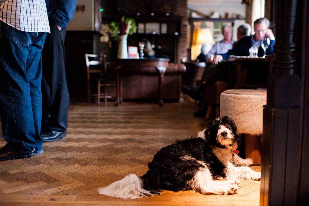 The Thomas Lord Hotel West Meon Екстериор снимка